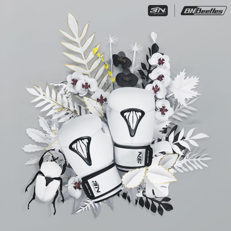 BN BOXING GLOVES BEETLES (Sarung Tinju)