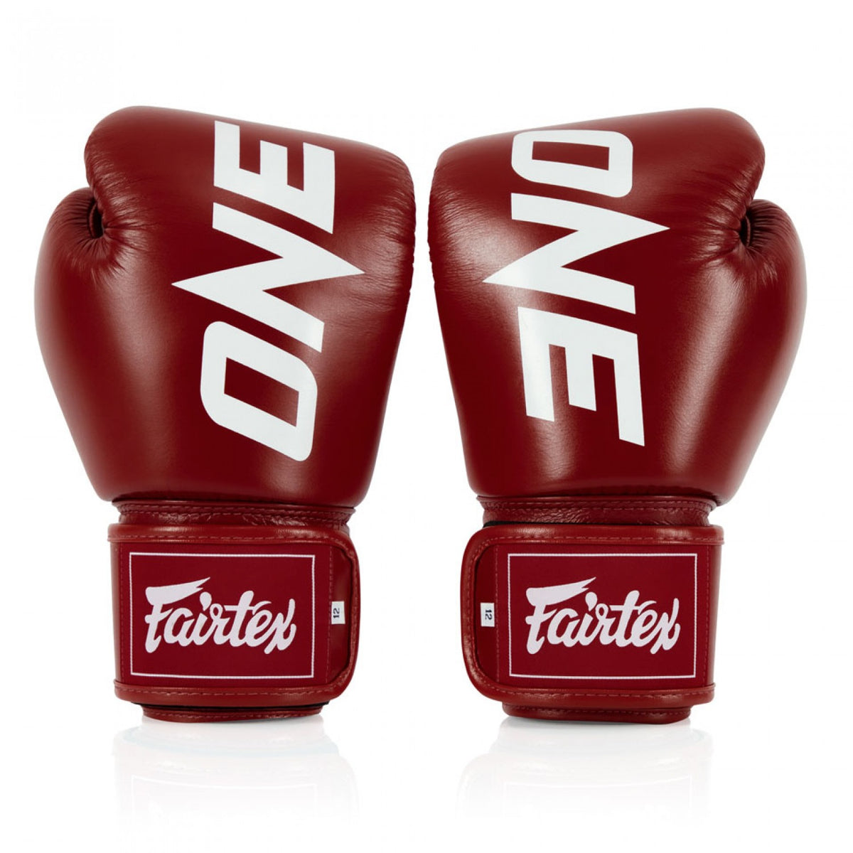 FAIRTEX BOXING GLOVES BGV1 ONE X (Sarung Tinju)