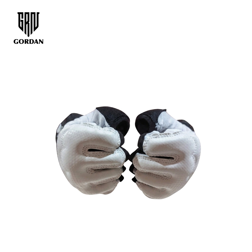 GORDAN HAND PROTECTOR (Sarung Tangan Taekwondo)