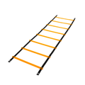 LADDER AGILITY (Tangga Kelincahan)